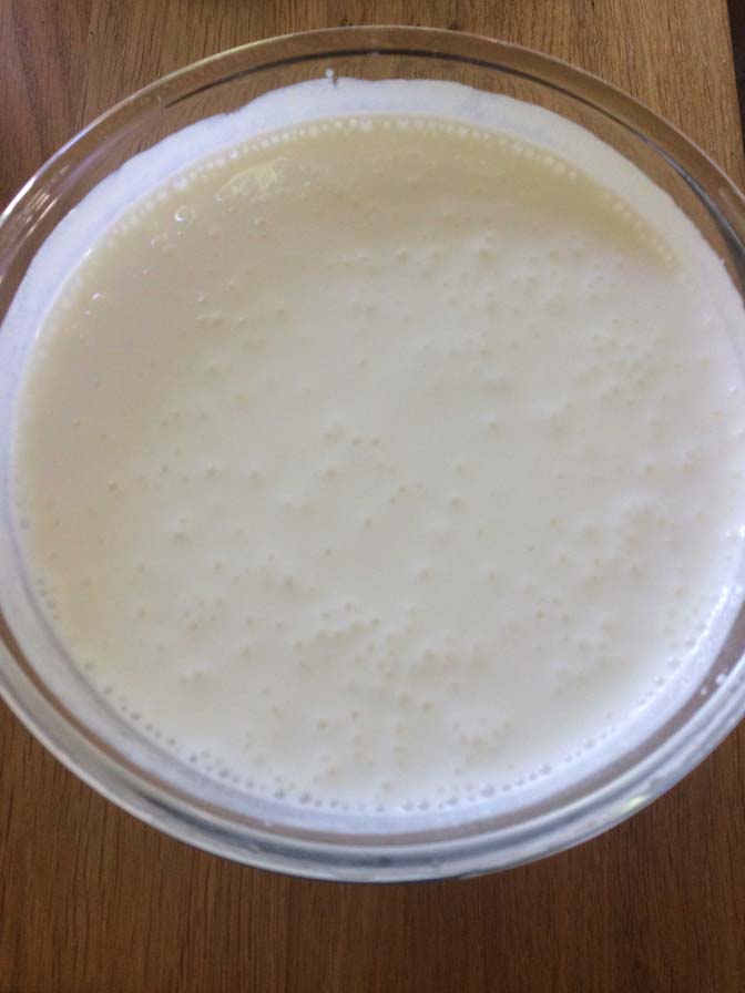 kefir-3